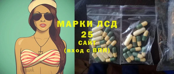 хмурый Каменногорск