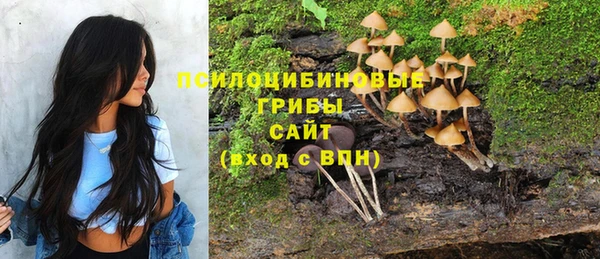 стафф Каменск-Шахтинский