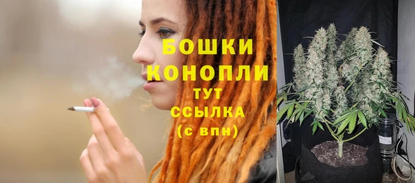 хмурый Каменногорск