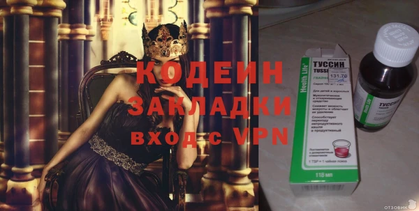 хмурый Каменногорск