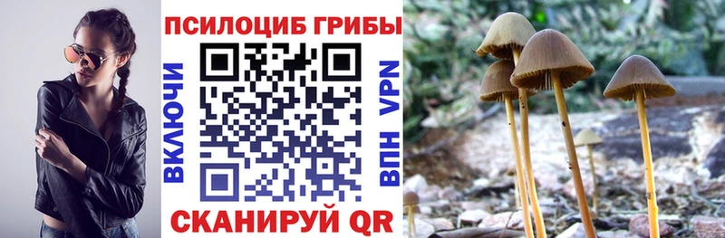 Купить  Тотьма  Галлюциногенные грибы прущие грибы 